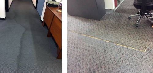 flooded office carpet repairs Sydney 2018