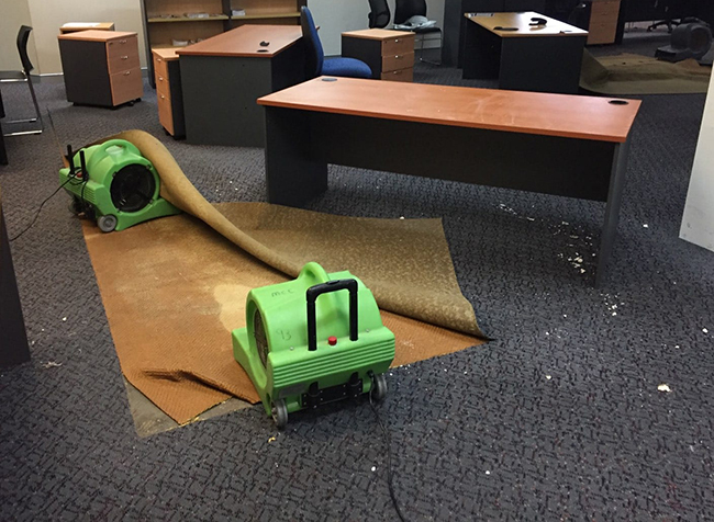 Sydney office wet carpet drying 2019
