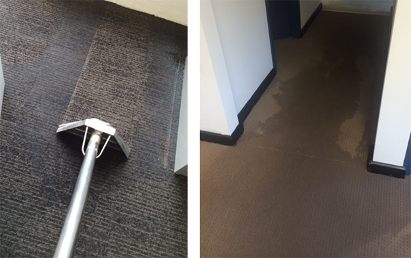 carpet water extraction Sydney 2018