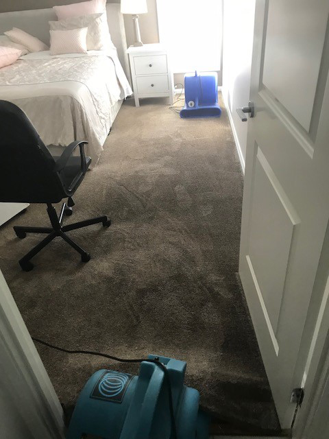 wet carpet drying 2018 by Refresh carpet cleaning