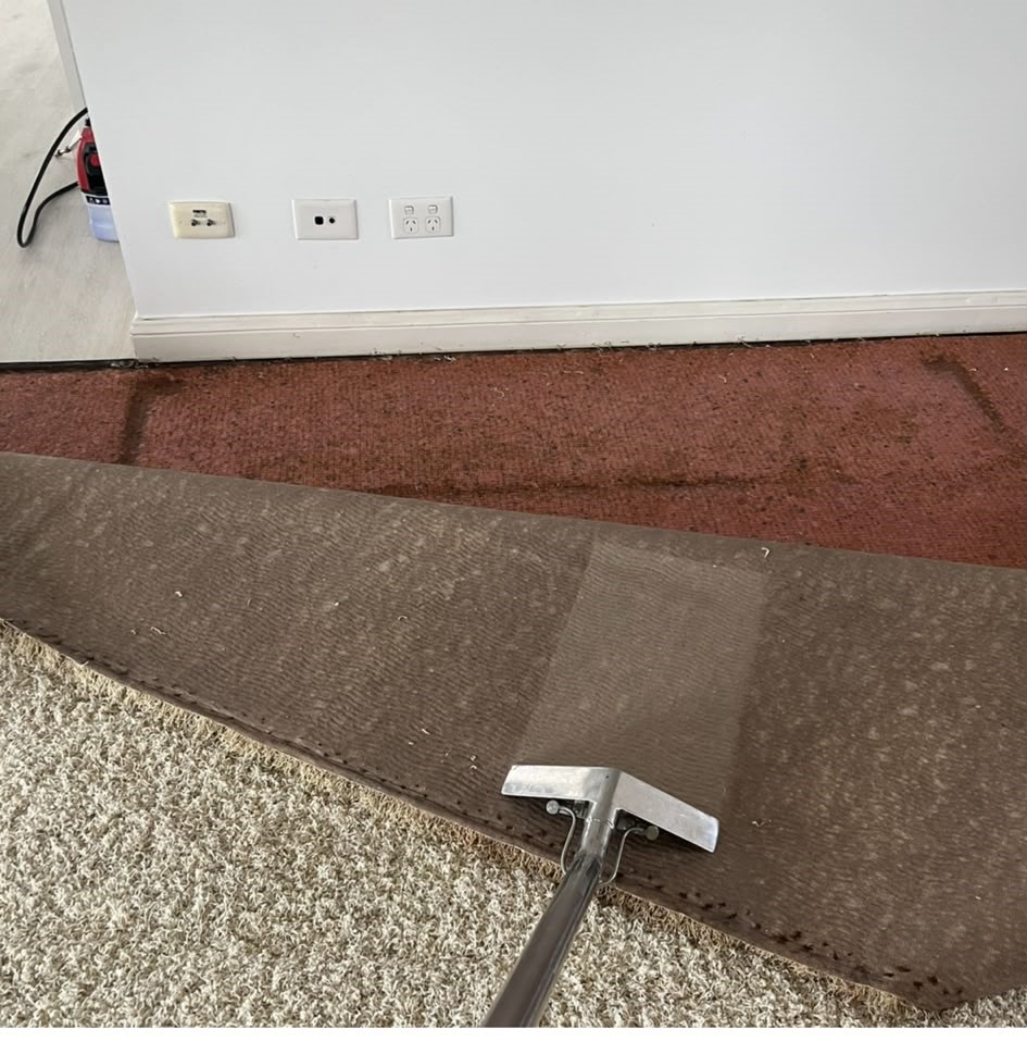Flooded carpet in Benowa caused by burst pipe