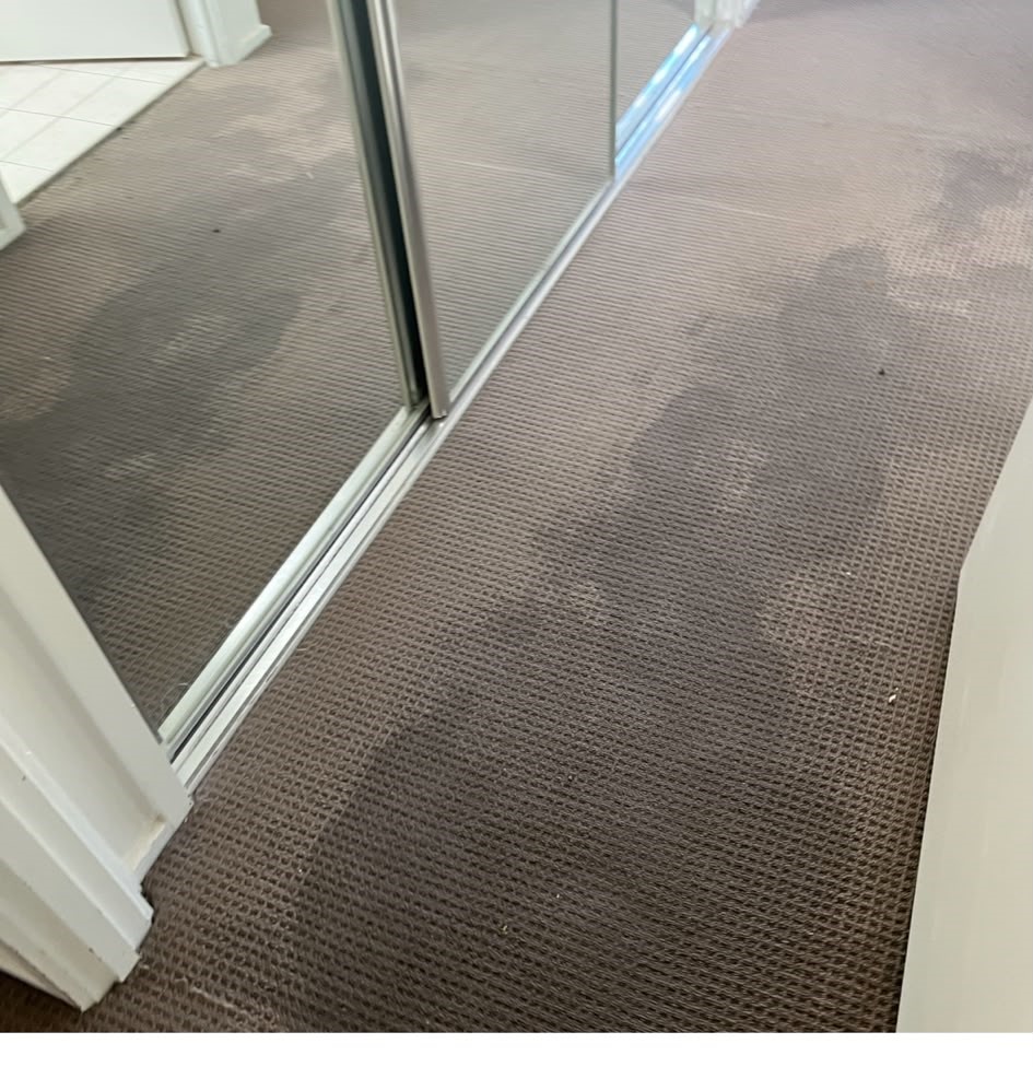 Flooded carpet from washing machines in Benowa