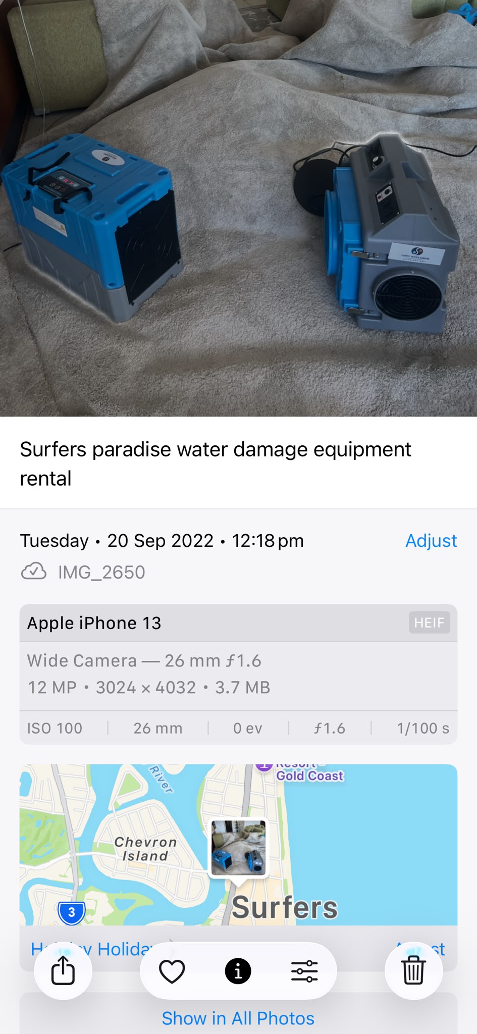 Surfers Paradise carpet water damage restoration
