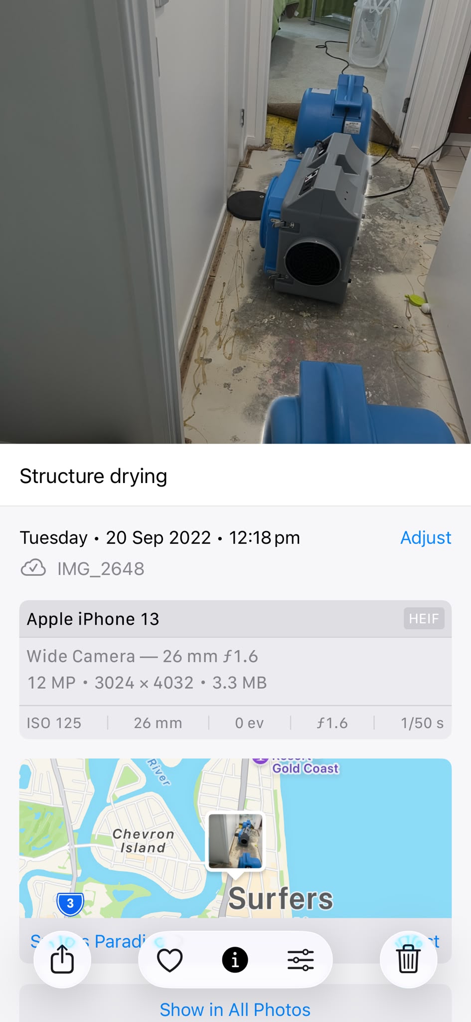 Surfers Paradise carpet water extraction