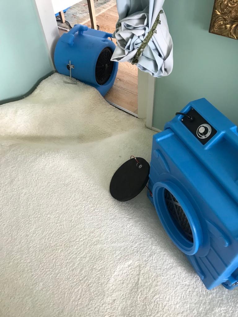 Wall and ceiling cavity drying Sydney