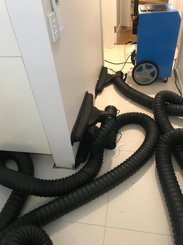 Certified and fully insured structural drying Sydney
