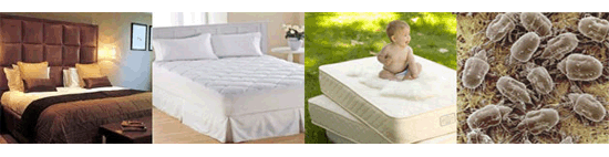 mattress cleaning Sydney