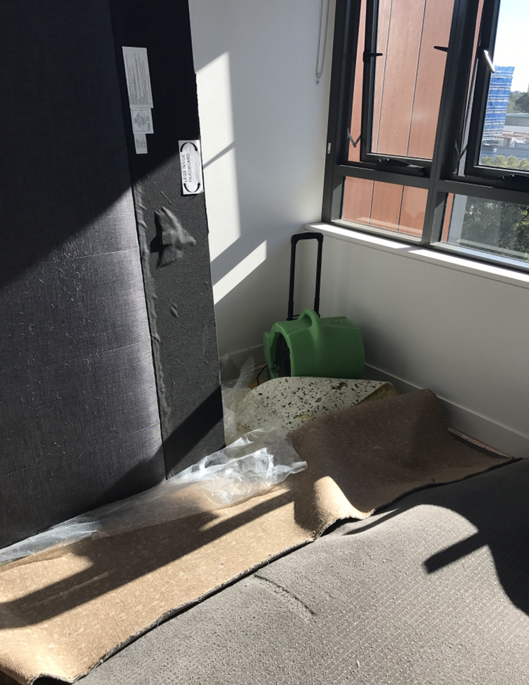 Carpet water damage 2018 Penrith
