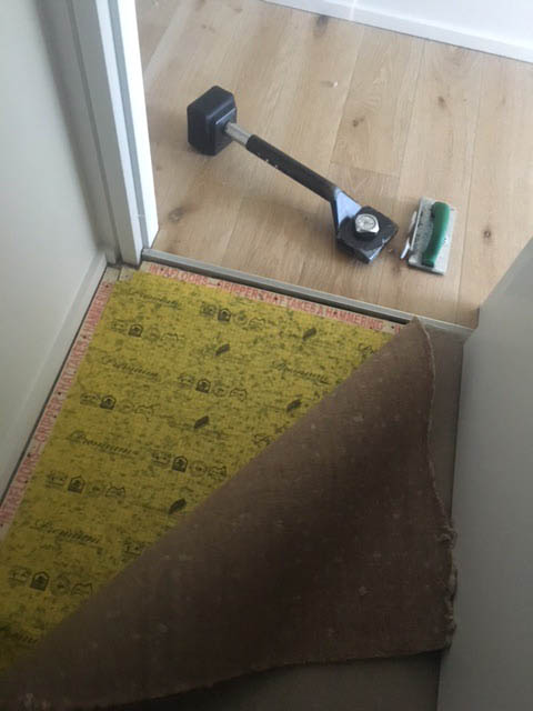 carpet relaying Bondi water damage 2017