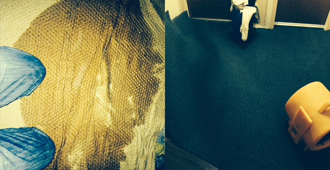 wet carpet extraction, Abbotsford, Sydney