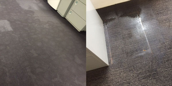carpet water extraction September 2015, wet carpet water restoration Sydney