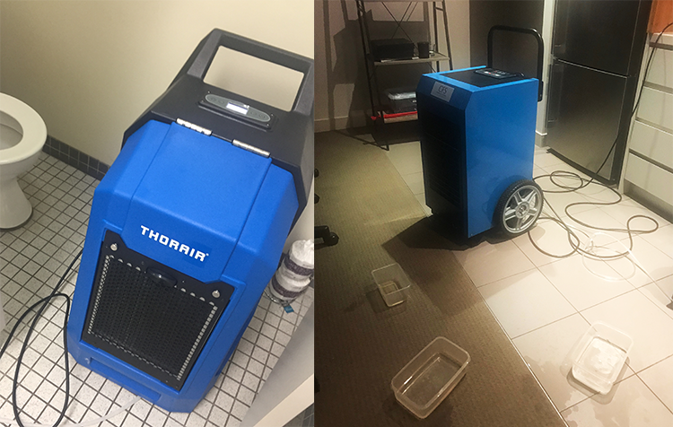 drying floors and dehumidifying home Sydney