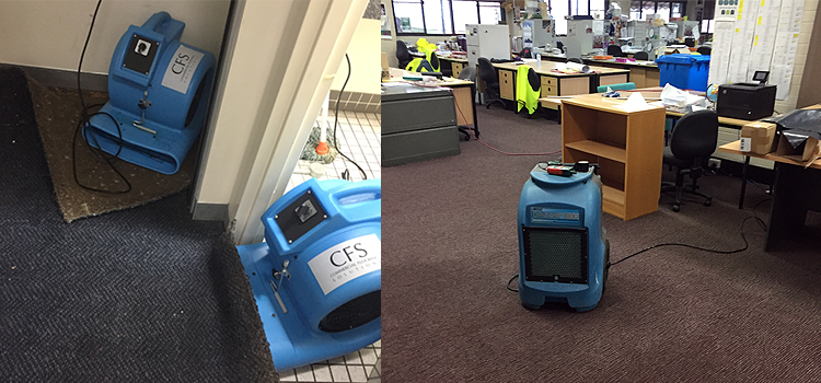 drying office carpet wet floors and dehumidifying Sydney