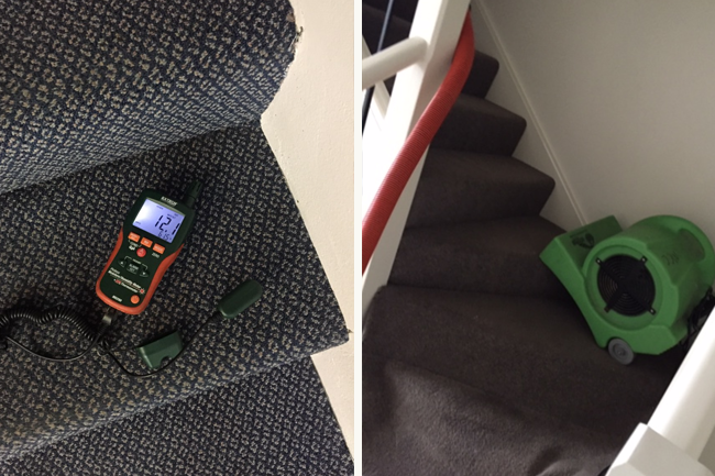 drying stair carpet and reading moisture
