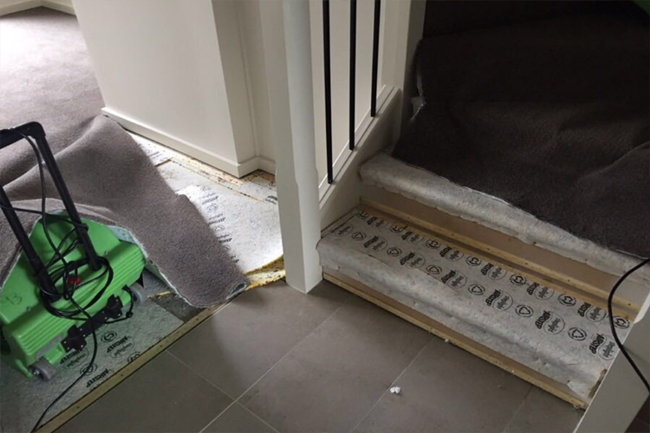 drying carpet in built in cupboard