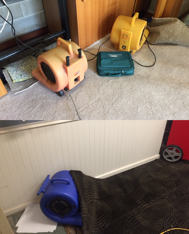 wet carpet flood damage, 2019 Sydney