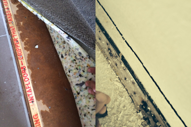 remove mould and water from your carpet after flooding