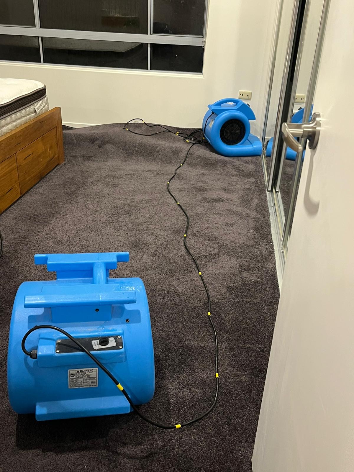 Carpet Cleaning Price List