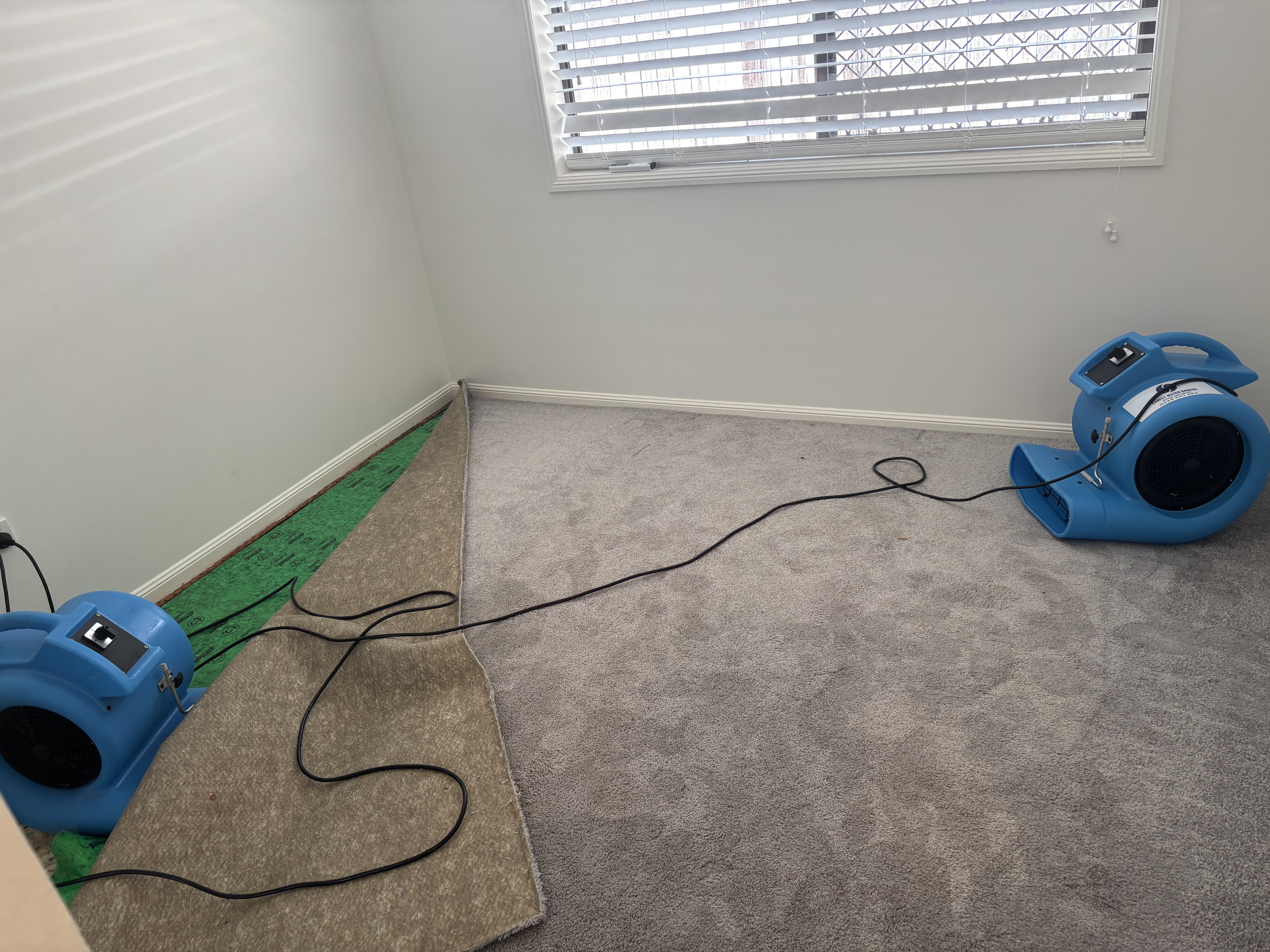 Water Damaged Carpet Repairs Sydney