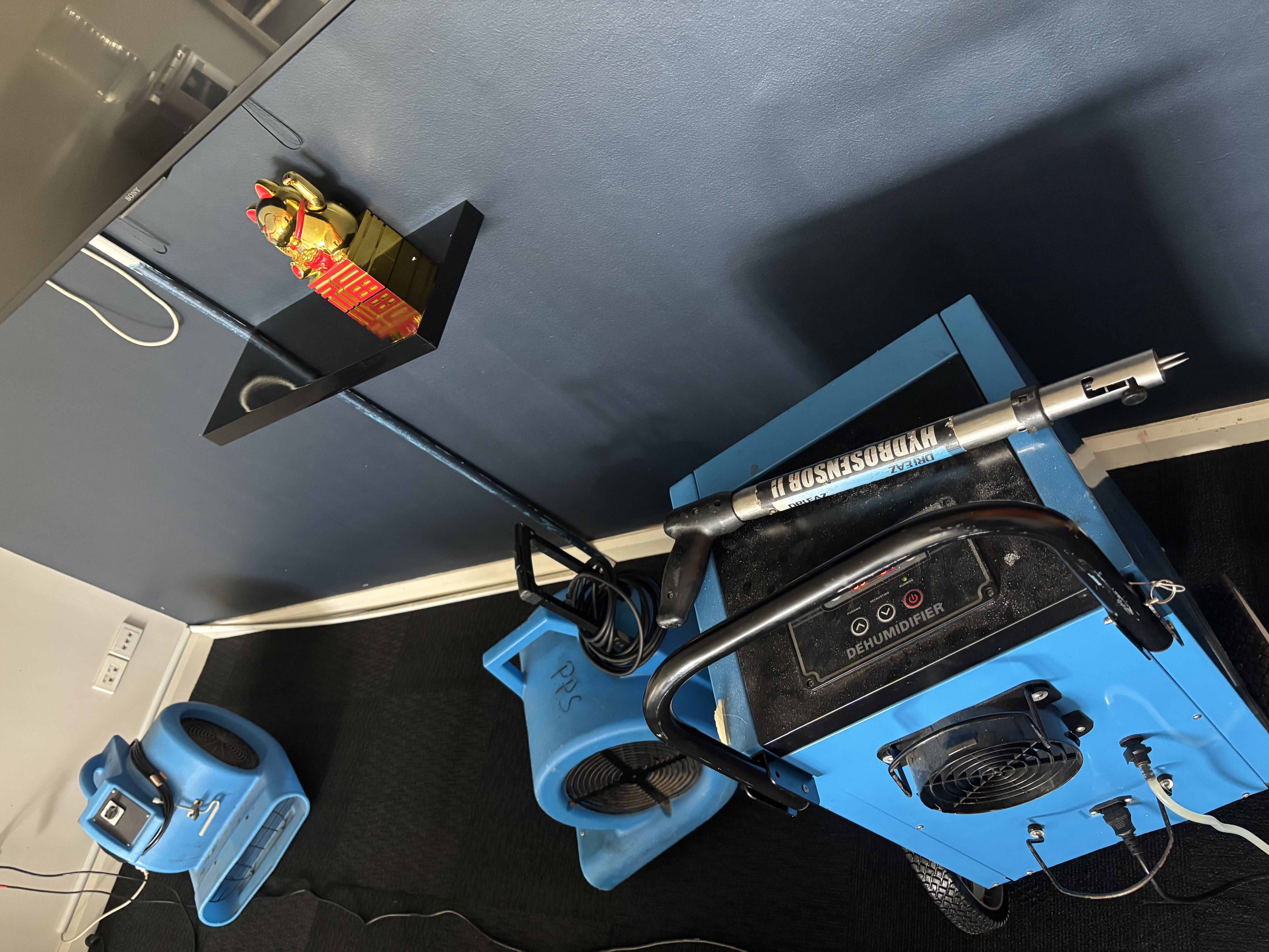 Carpet Dryers & Dehumidifiers in Parramatta