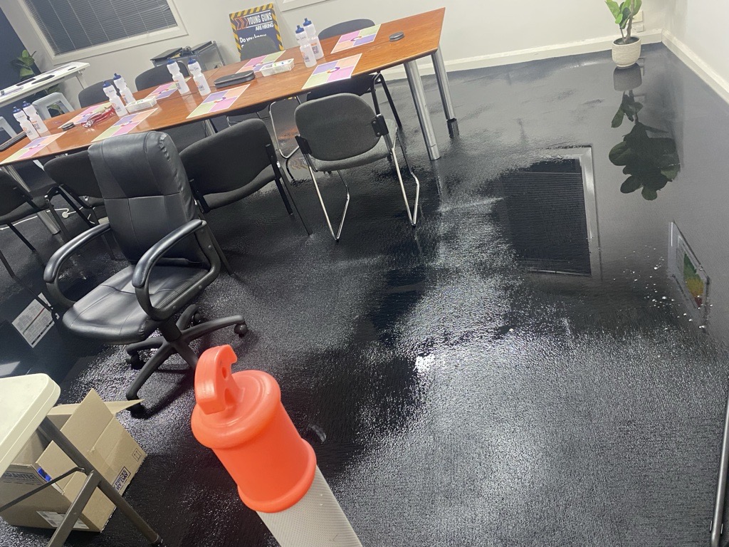 Carpet Dryer and Dehumidifiers Sydney