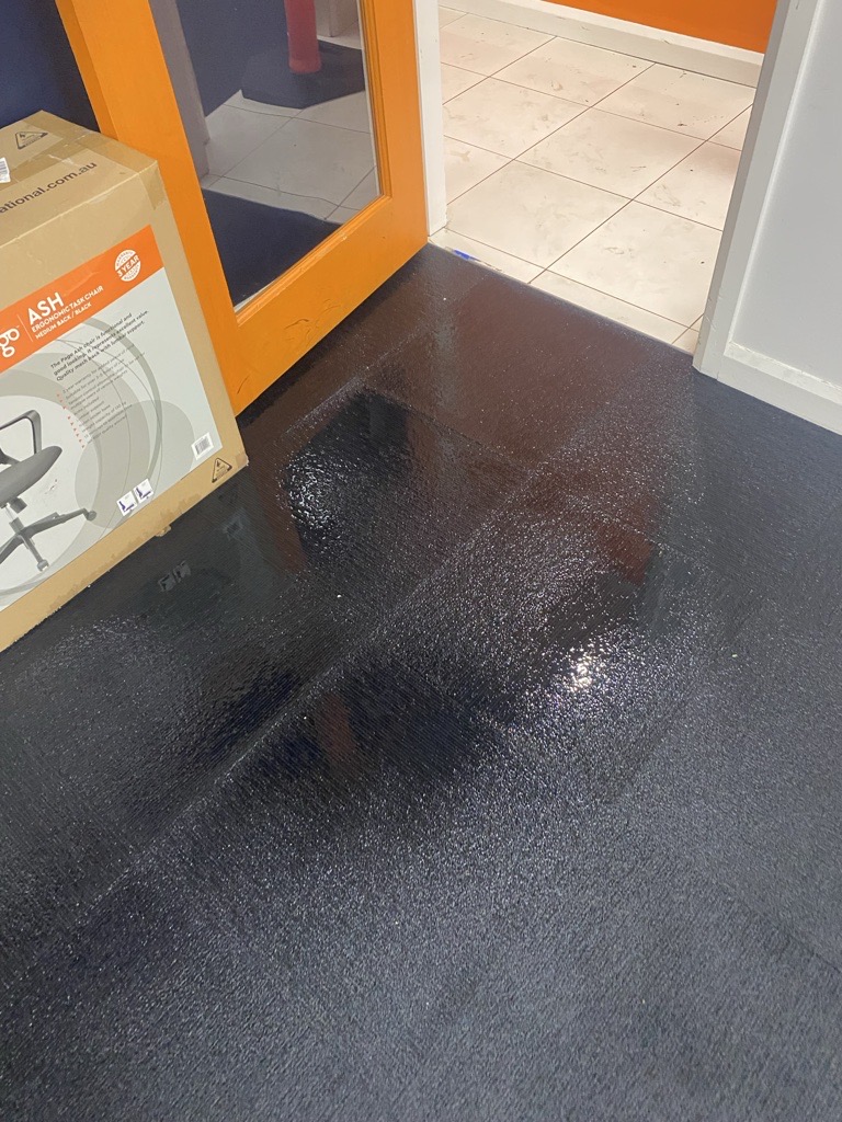 Water Damaged Carpet Repairs
