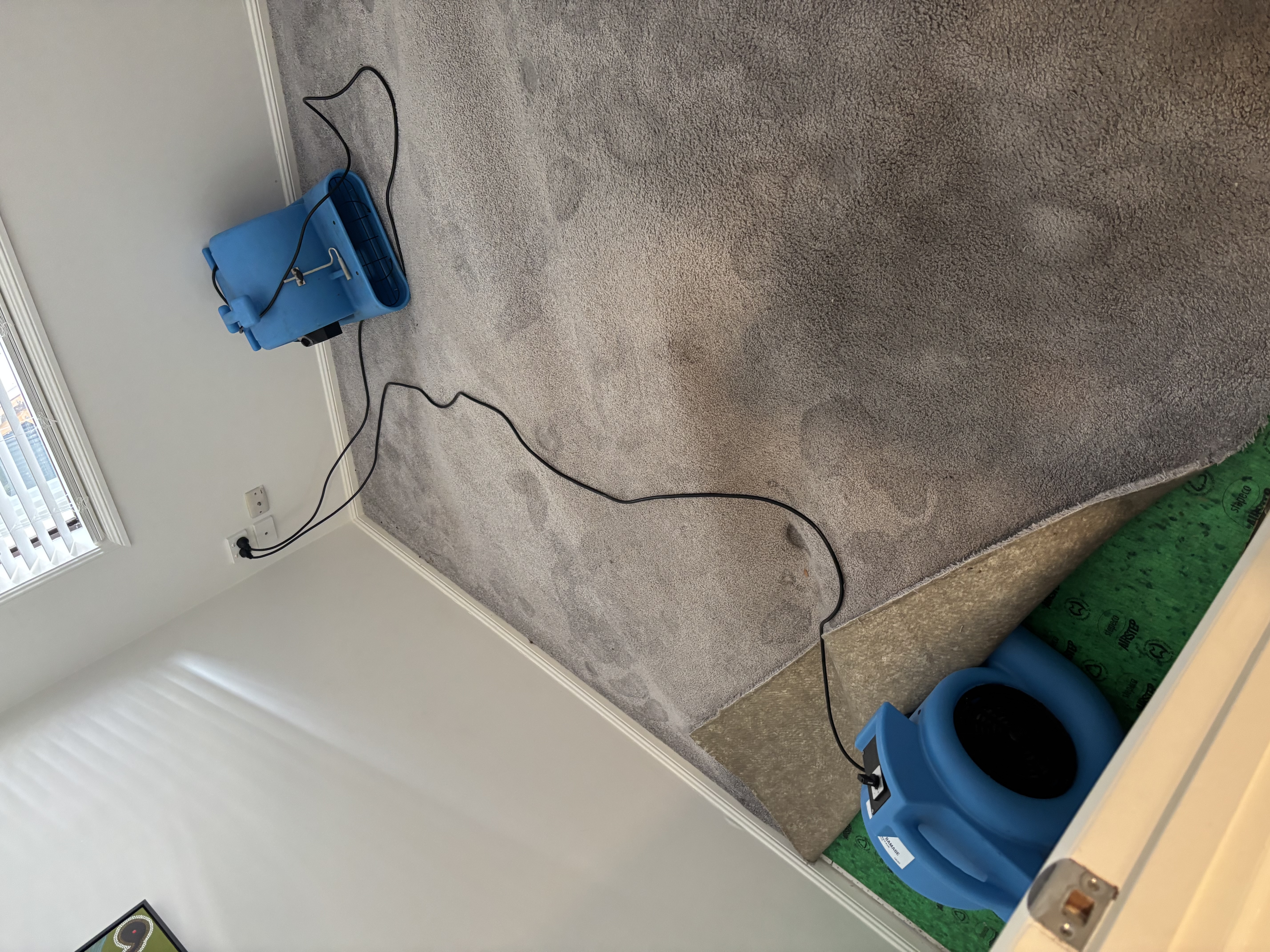Air Scrubber Removes Bacteria & Toxins