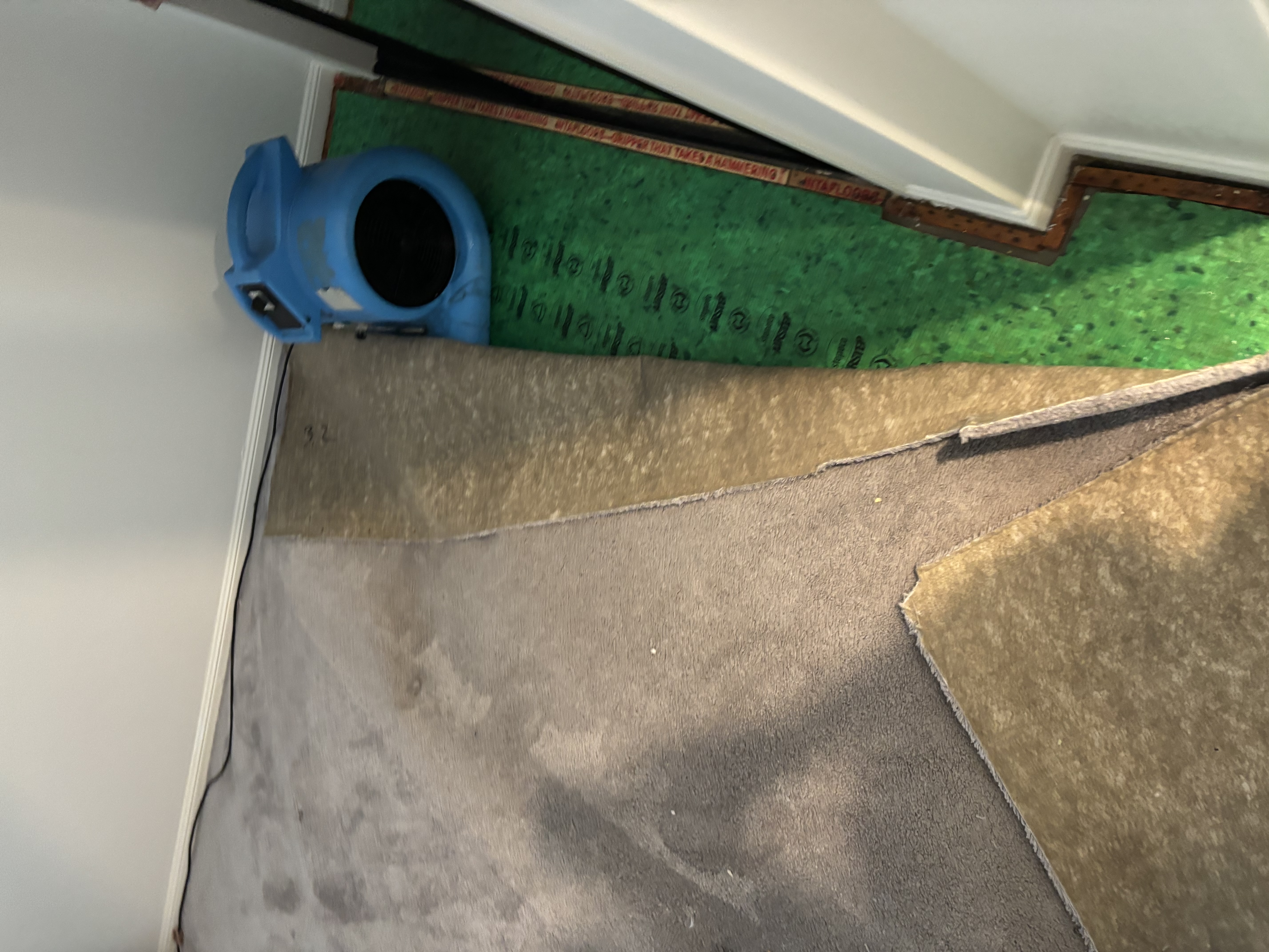 Carpet Dryers & Dehumidifiers in Sydney